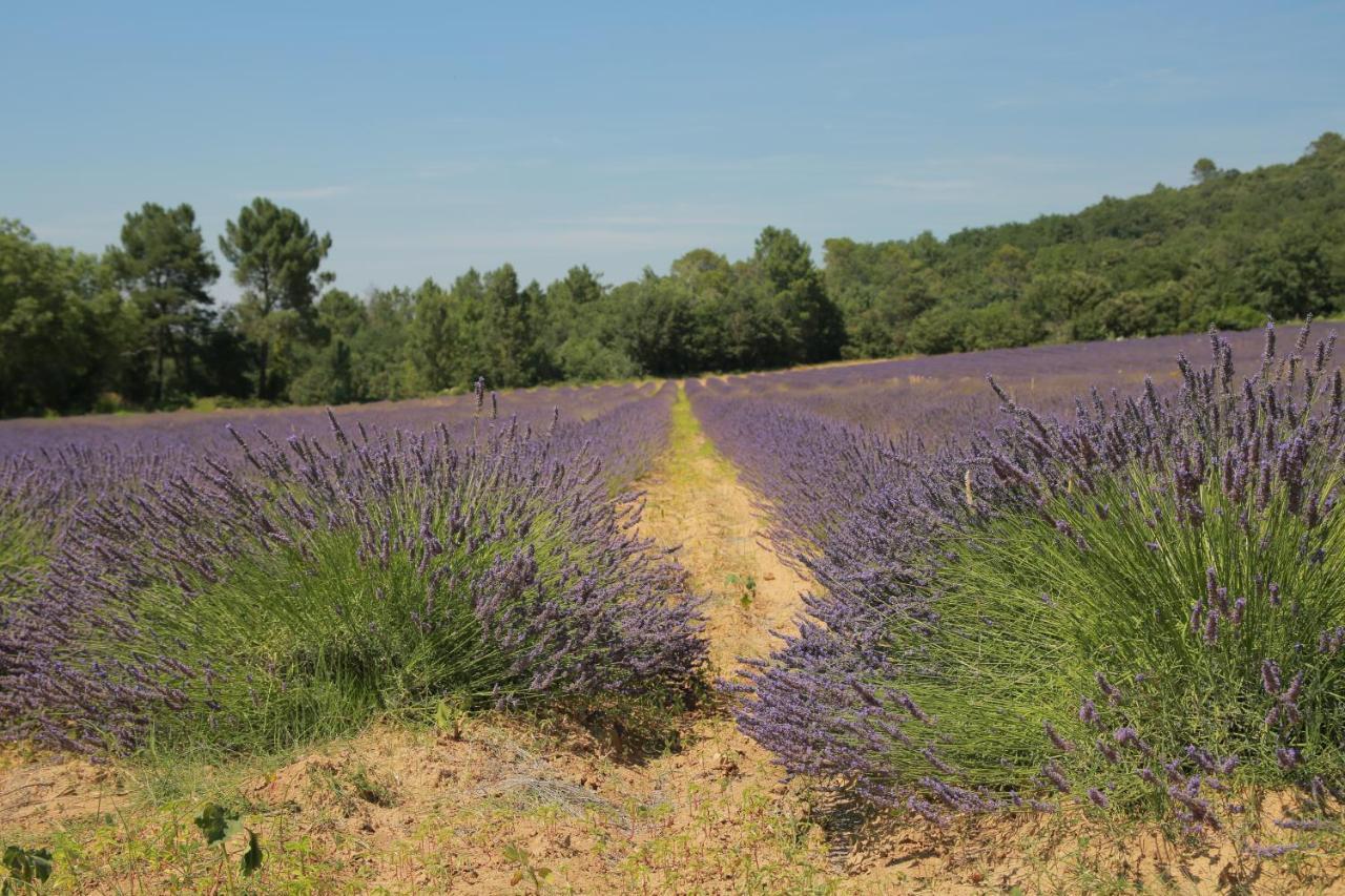 Les Yourtes De Provence Saint-Paulet-de-Caisson Exterior photo